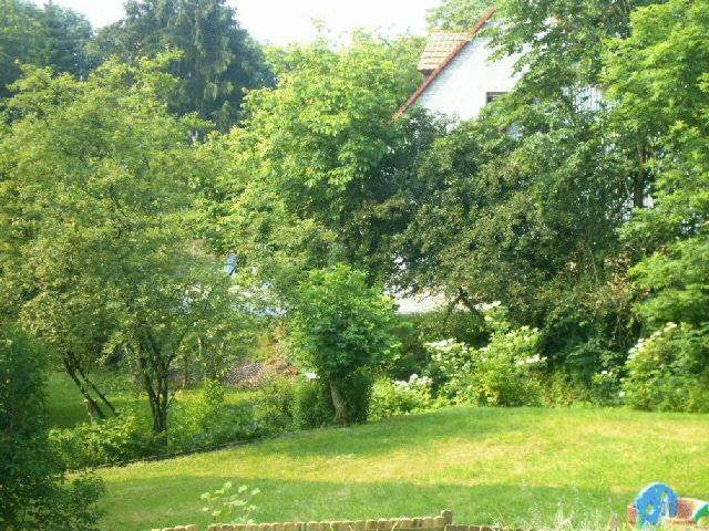 Waldpension Zum Felsenkeller Lichtenfels-Sachsenberg Экстерьер фото