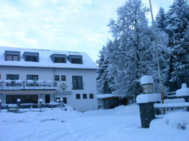 Waldpension Zum Felsenkeller Lichtenfels-Sachsenberg Экстерьер фото