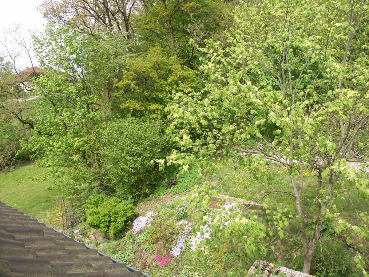 Waldpension Zum Felsenkeller Lichtenfels-Sachsenberg Экстерьер фото